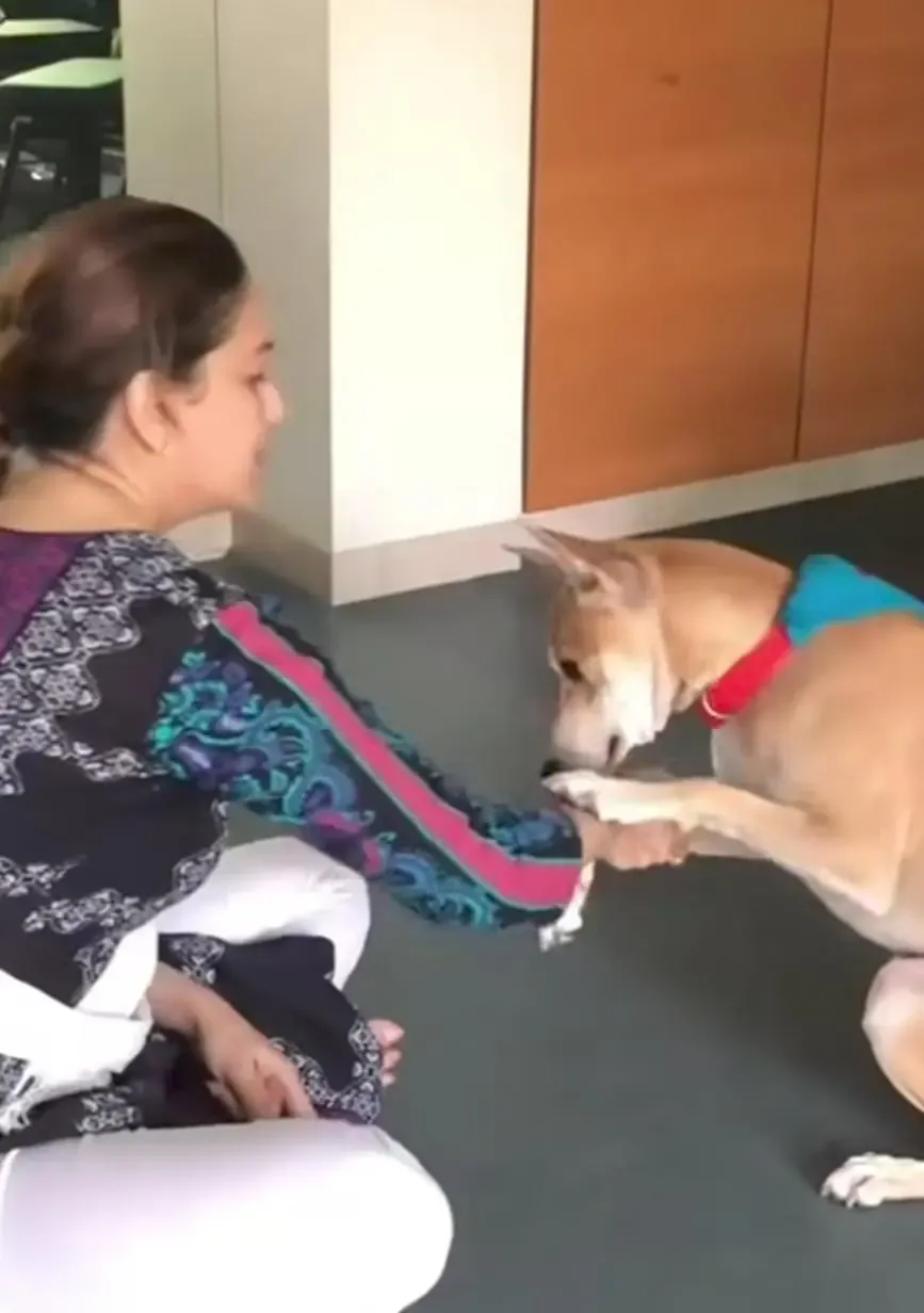 Did Madhuri Dixit Enjoy Quality Time with Her Pets?