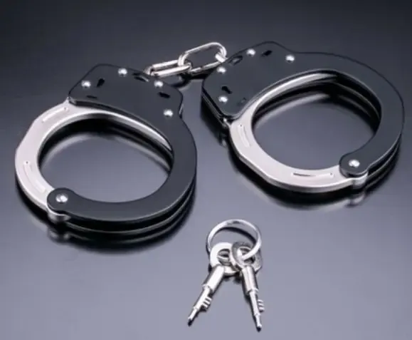 क्या मध्य प्रदेश के उमरेटी गांव में पुलिस ने 50 अवैध हथियार फैक्ट्रियां ध्वस्त की और 36 गिरफ्तार किए?