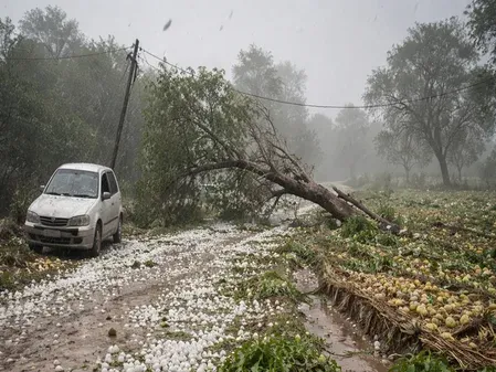 मध्य प्रदेश में बारिश का कहर, 98 लोगों की जिंदगी बचाई गई