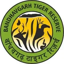 बांधवगढ़ टाइगर रिजर्व का कोर क्षेत्र 1 अक्टूबर से पर्यटकों के लिए खुला, नए सत्र में बाघिन के दीदार से हुई धमाकेदार शुरुआत
