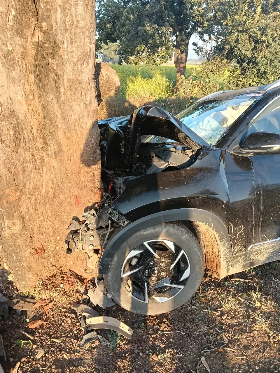 क्या मध्य प्रदेश के श्योपुर में तेज रफ्तार कार पेड़ से टकराई? पूर्व मंत्री के भांजे की मौत