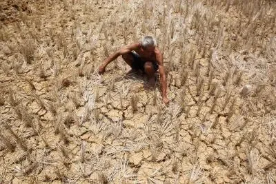 What Measures is Maharashtra Taking to Address Farmer Suicides?