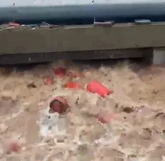 Raigad flood: ~3,000 LPG cylinders swept into Patalganga River after HPCL plant wall collapses