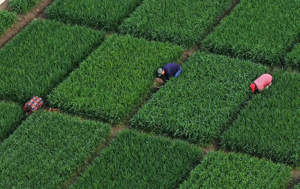 महेंद्रगढ़ में विधायक कंवर सिंह ने किसानों को ट्रैक्टर की चाबी सौंपी, 3 लाख रुपए की छूट से मिली राहत