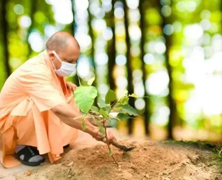 Transforming Uttar Pradesh: Over 242 Crore Saplings Planted in Nine Years