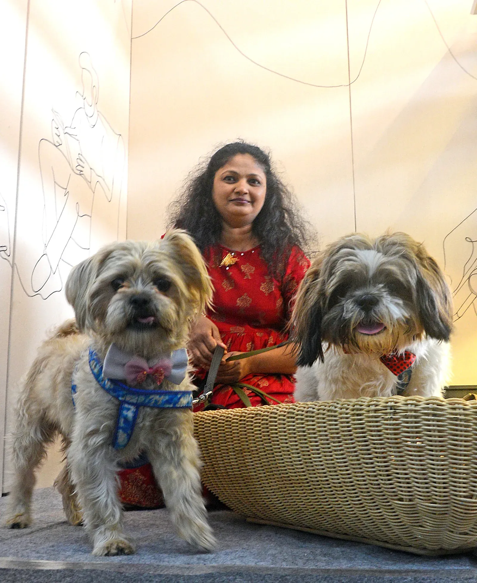 कुत्ते मालिक की पलक झपकते देख खुद भी झपकाते हैं आंखें — द रॉयल सोसाइटी में प्रकाशित नया अध्ययन