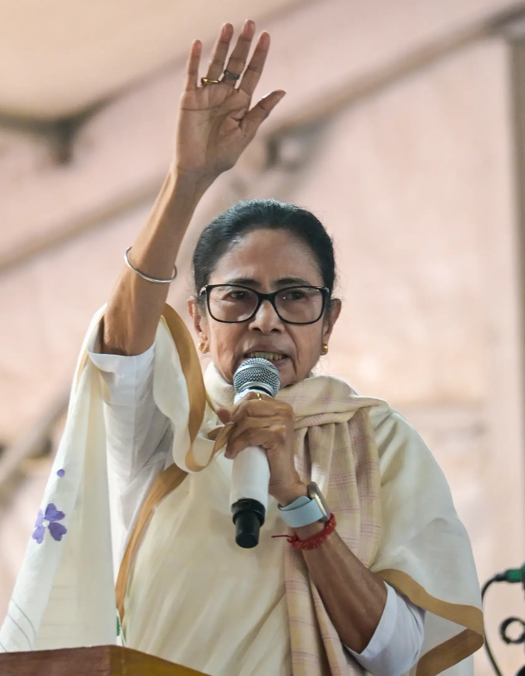 Is Mamata Banerjee's Management Failing Amidst a Chaotic Situation?