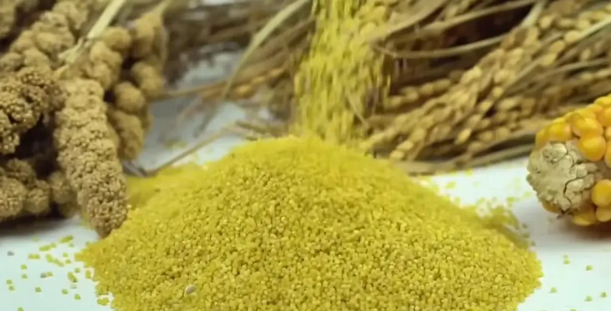 क्या पीएम मोदी ने मिलेट्स को लेकर कुछ खास कहा?