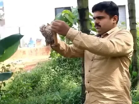 मन की बात: पीएम मोदी ने 'शहद' की बात, बोले-11 साल में डेढ़ लाख मीट्रिक टन पहुंचा उत्पादन