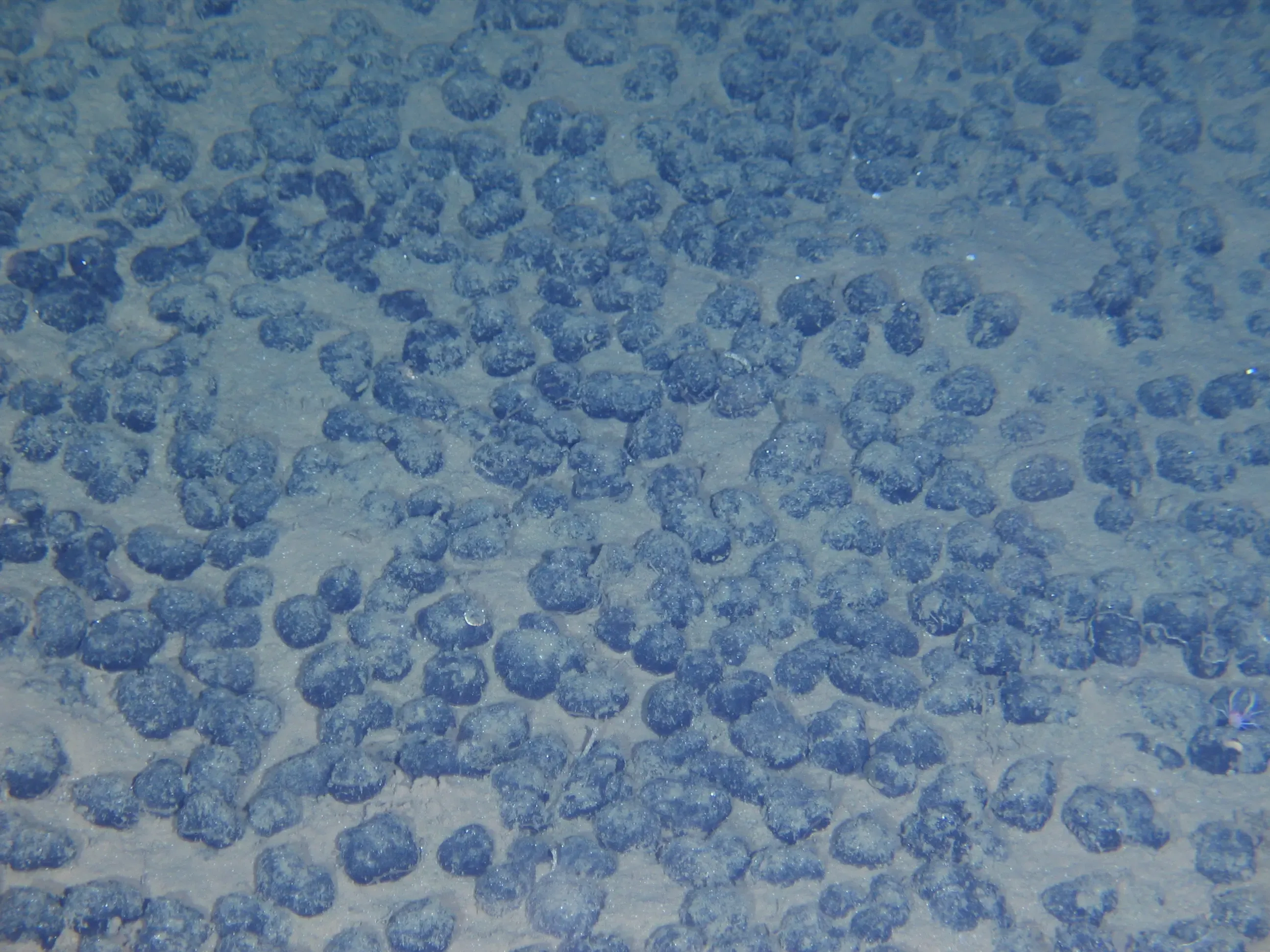 Did MOIL Achieve Record October Production of 1.6 Lakh Tonnes?