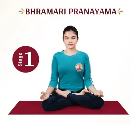 भ्रामरी प्राणायाम : मानसिक शांति और स्वास्थ्य का सरल उपाय, आयुष मंत्रालय ने बताए इसके लाभ