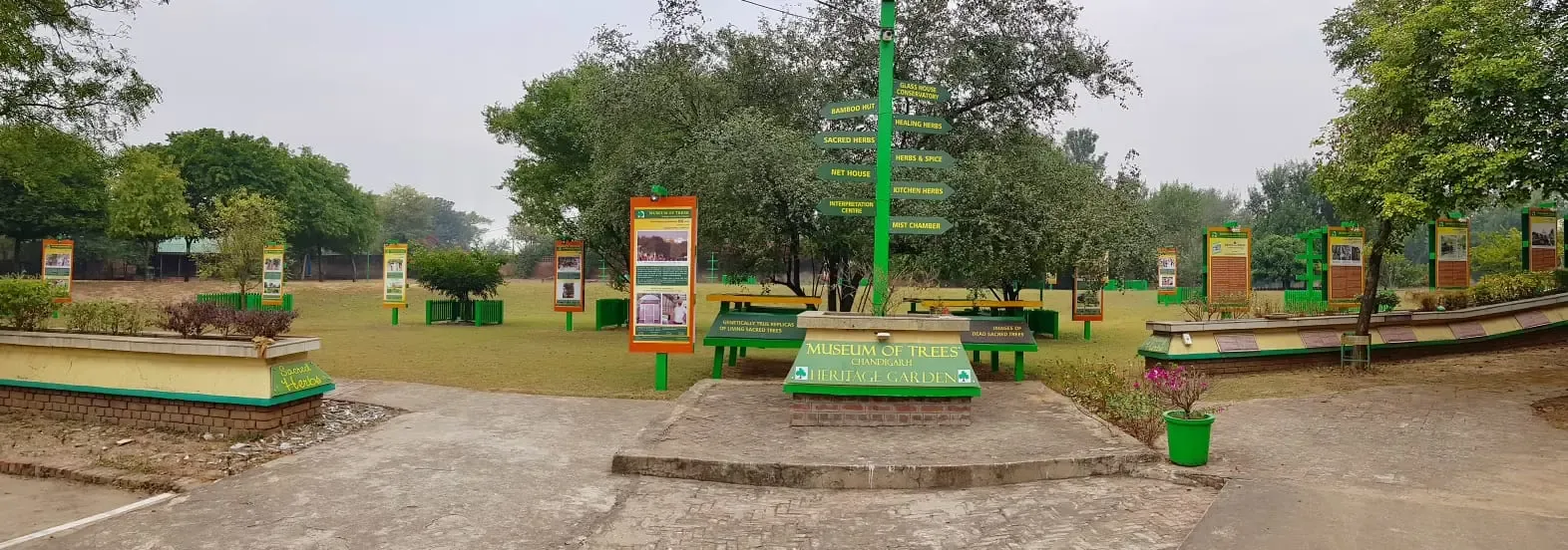 Is Manuka a New Highlight in Chandigarh's Museum of Trees?
