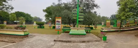 Is Manuka a New Highlight in Chandigarh's Museum of Trees?