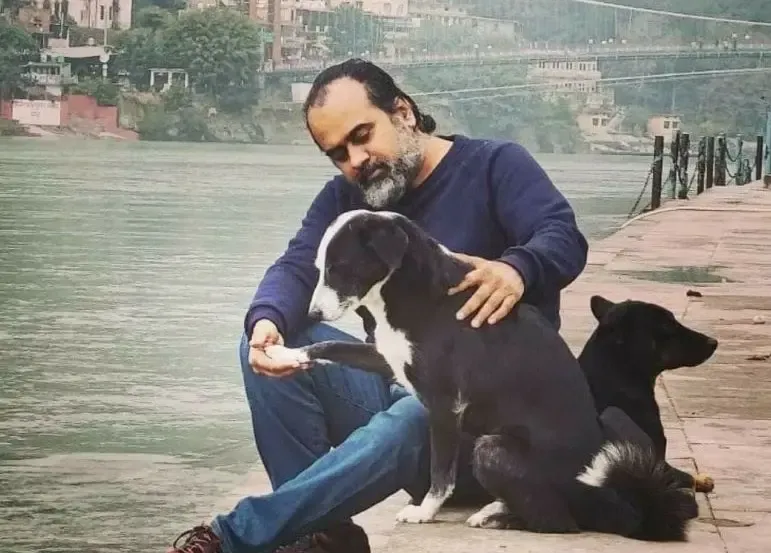 क्या मानवीय योजना से आवारा कुत्तों का संकट सुलझ सकता है, जलवायु है बड़ी लड़ाई?
