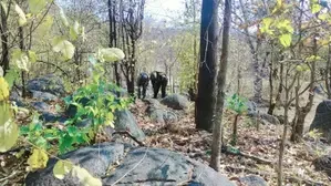 Maoist Camp Razed in Jharkhand's Chaibasa, Arms Recovered