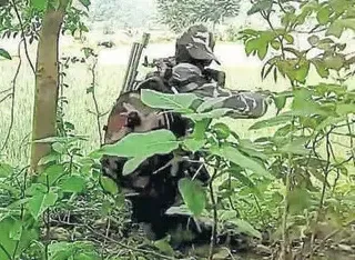 Did a Maoist Meet Their End in an Encounter with Security Forces in Chhattisgarh's Sukma?