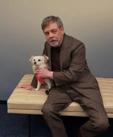Did Mark Hamill Really Consider Retiring from Acting?