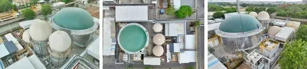 Maruti Suzuki invests ₹150 crore in biogas projects on World Environment Day
