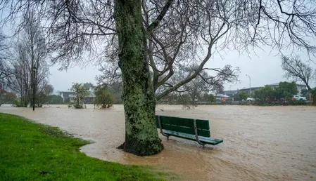 Wellington hit by 11-metre swells, gale-force winds; evacuations ordered