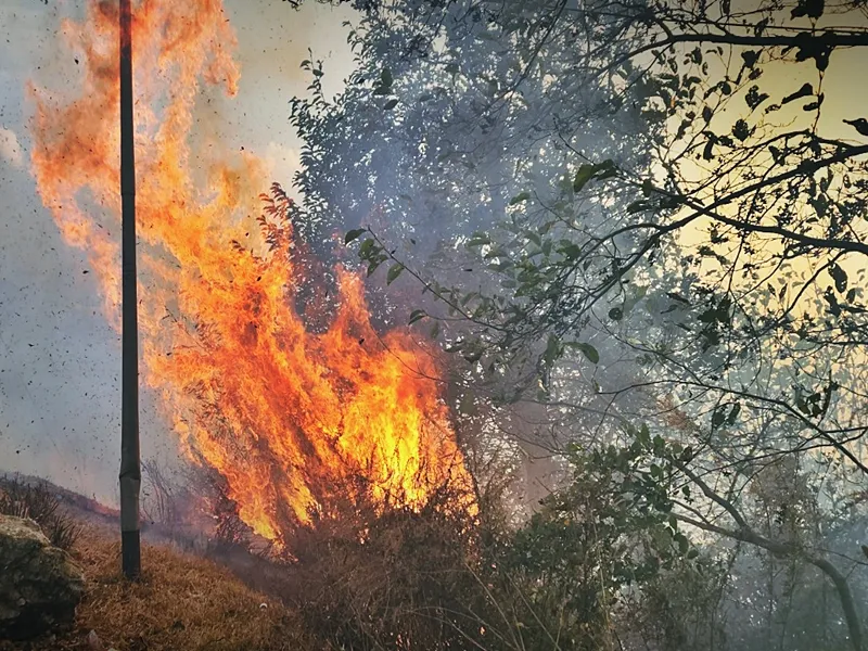 Significant Wildfire Erupts in Arunachal; No Reported Casualties