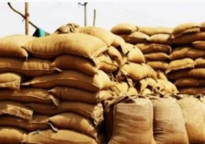 Is Mauritius Looking to Import More Rice from India?