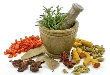 मौसम के हिसाब से शरीर की सफाई जरूरी, आयुष मंत्रालय ने बताया आयुर्वेदिक तरीका