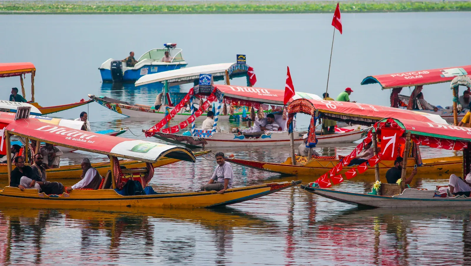 Kashmir heatwave: Temperatures to hit 35-36°C in next 2 days before wet spell