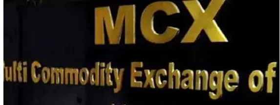 What Caused the MCX Trading Halt for Over Four Hours?