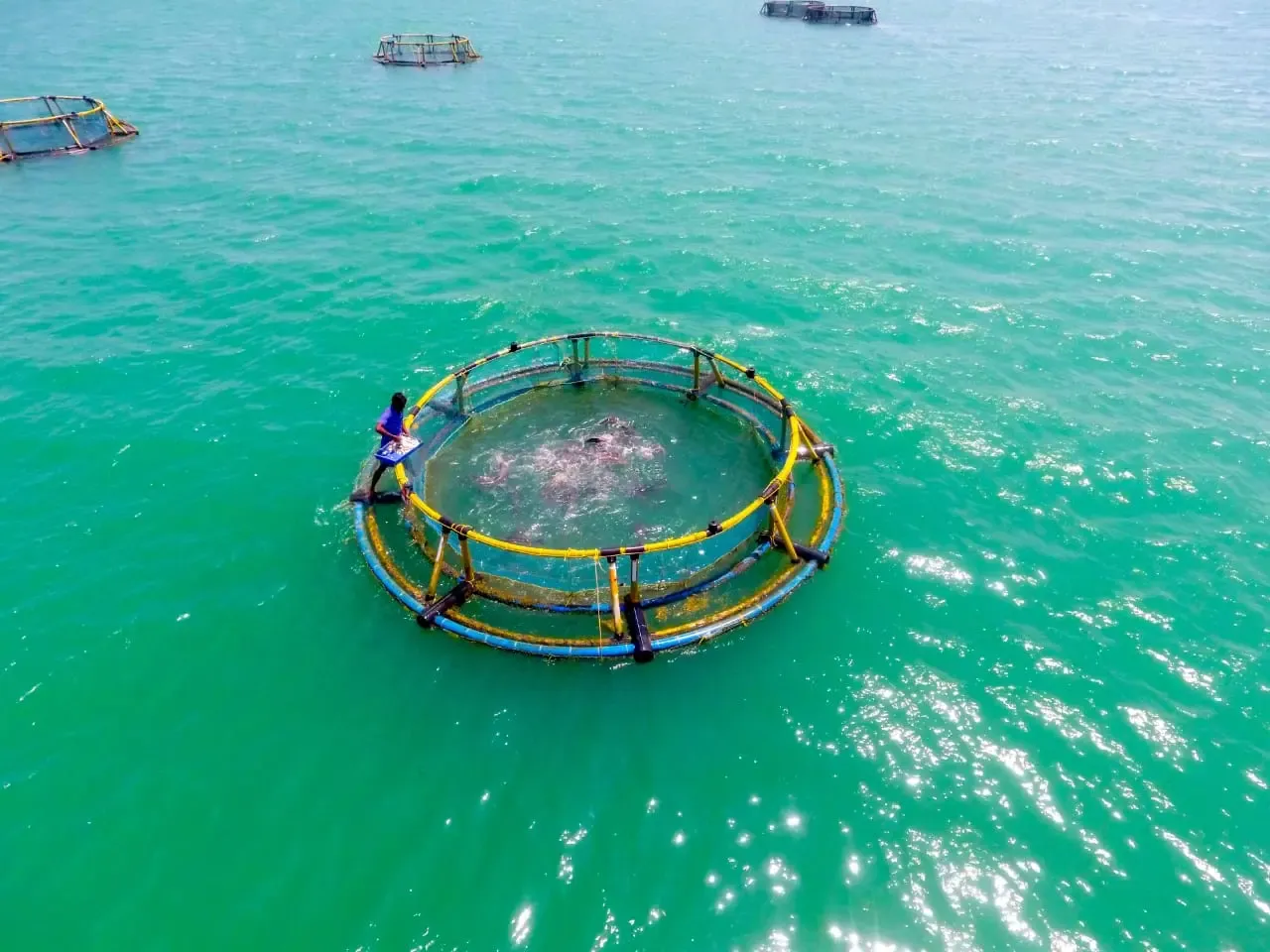 What Challenges and Opportunities Will MECOS 4 Spotlight in the Seafood Industry?