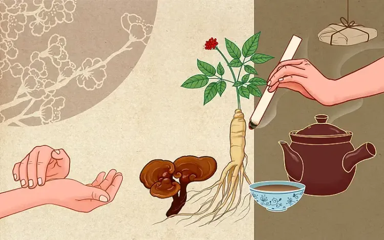 क्या 14वीं पंचवर्षीय योजना में पारंपरिक चीनी चिकित्सा के 34 राष्ट्रीय मानक जारी हुए?