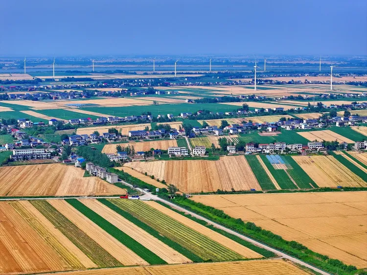 क्या चीन विकासशील देशों के पारिस्थितिकी संरक्षण में समर्थन जारी रखेगा?