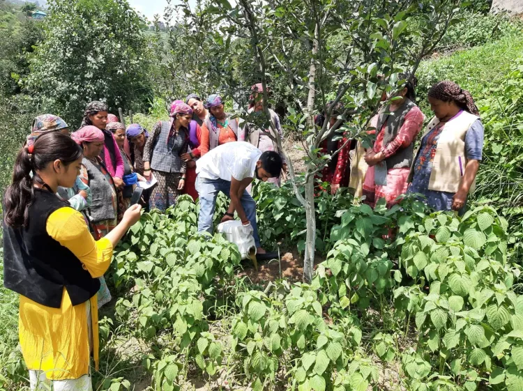 How are 222,893 farmers in Himachal cultivating crops naturally?