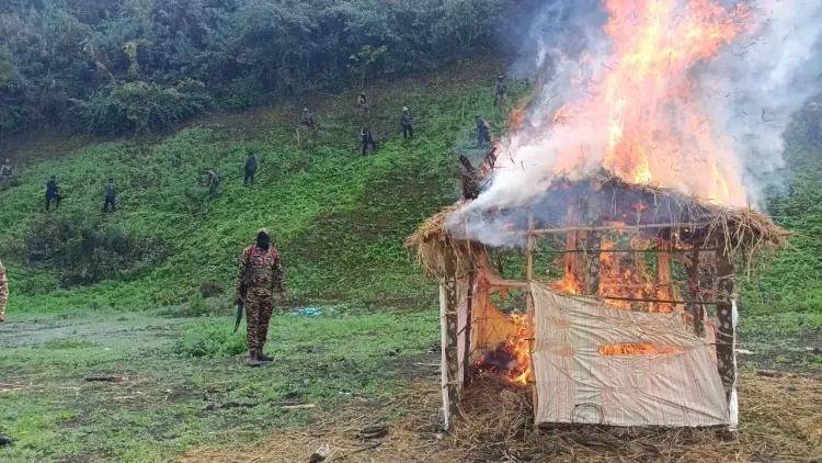 How Many Acres of Illegal Poppy Cultivation Were Destroyed in Manipur?
