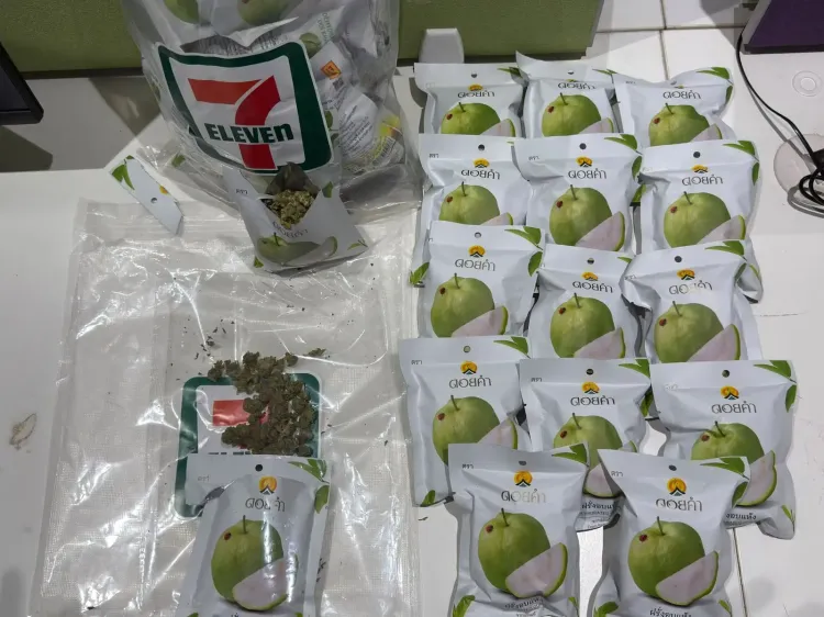 Ahmedabad Customs seizes 973 gm hydroponic marijuana in 'Dehydrated Guava' packets
