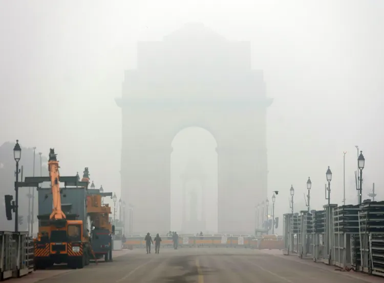How Many Cold Wave Deaths Occurred from 2019 to 2023?
