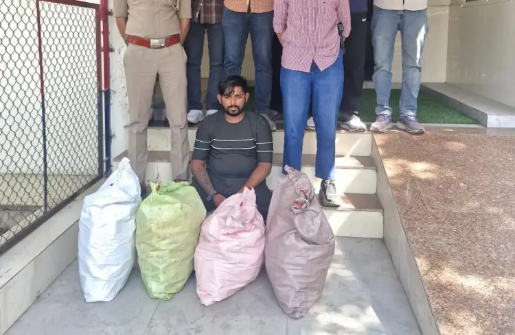 Gujarat Police seize 659 codeine cough syrup bottles in Bavla-Bagodara raids, 2 held