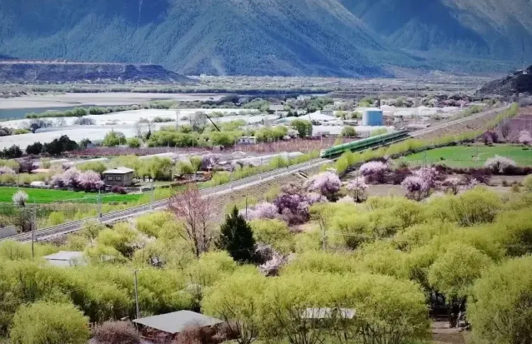 शीत्सांग की GDP 77.8 अरब युआन पार, 6.1%25 वृद्धि के साथ देश में पहला स्थान