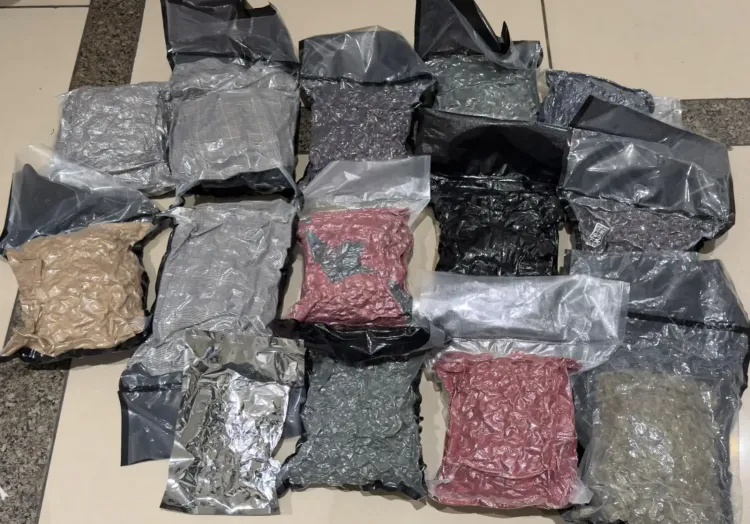8.9 kg hydroponic marijuana seized at Ahmedabad airport, Mumbai man arrested