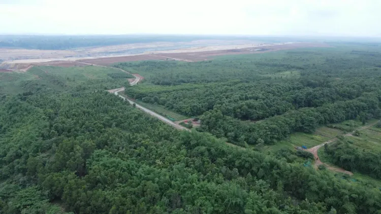 Adani Group plants 1.6 million trees at Surguja mine across 568 hectares