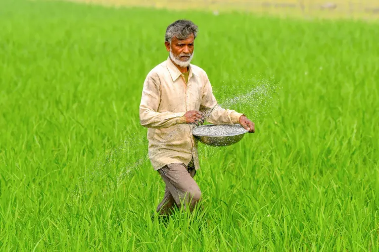 Kharif 2026: Govt assures no urea, DAP shortage; subsidised prices held