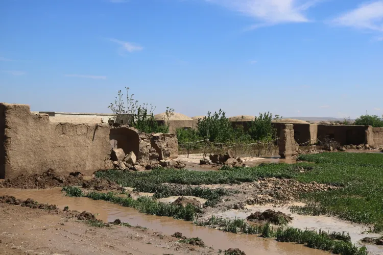 Herat Province Floods: One Fatality and Multiple Injuries Reported