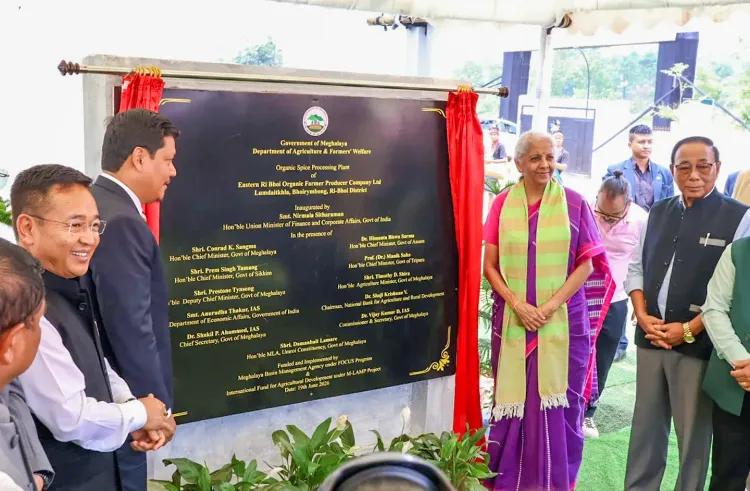 Nirmala Sitharaman inaugurates Northeast India's largest organic spice unit in Meghalaya