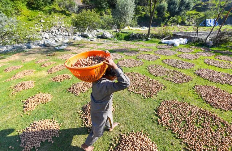 How is the Agriculture Ministry Enhancing Flexibility for States in Drip and Sprinkler Irrigation?