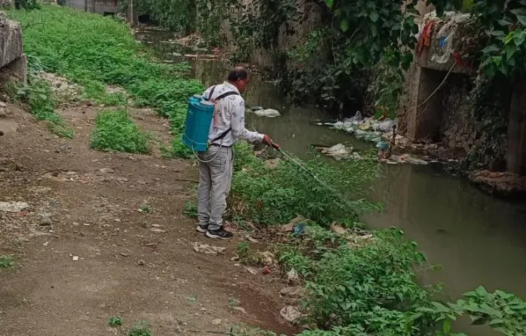 AMC seals 2 sites, issues 108 notices in Ahmedabad mosquito-control drive