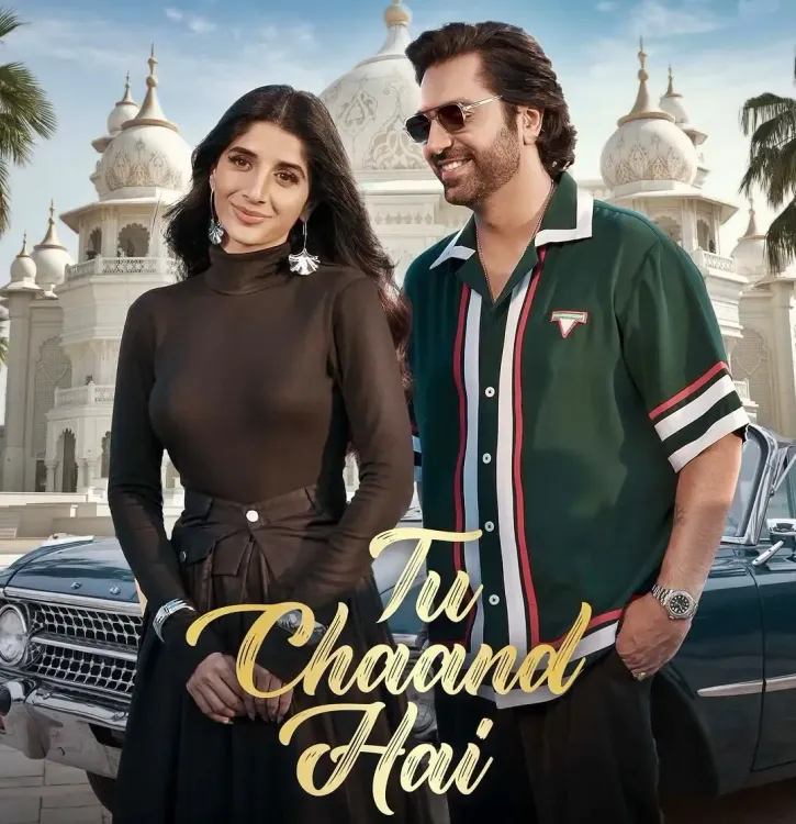 Akhil Sachdeva Reflects on His Collaboration with Mawra Hocane for 'Tu Chaand Hai'