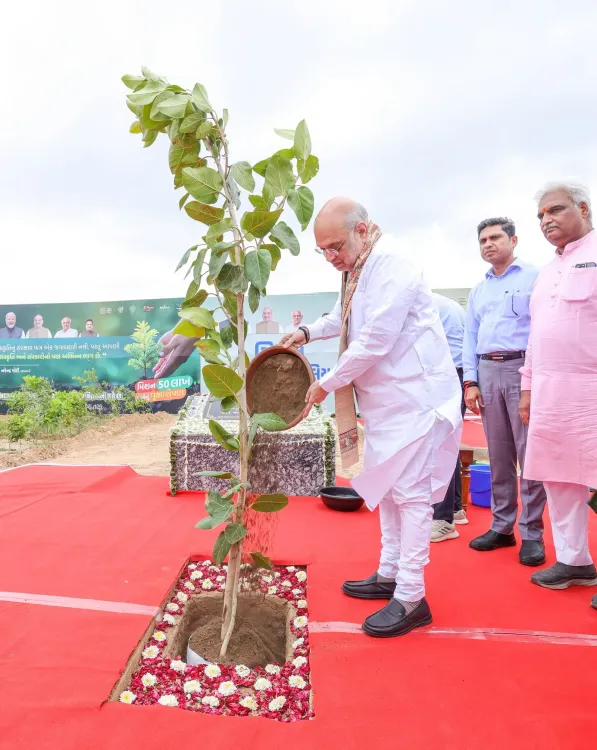 Amit Shah joins tree plantation drive in Gandhinagar constituency