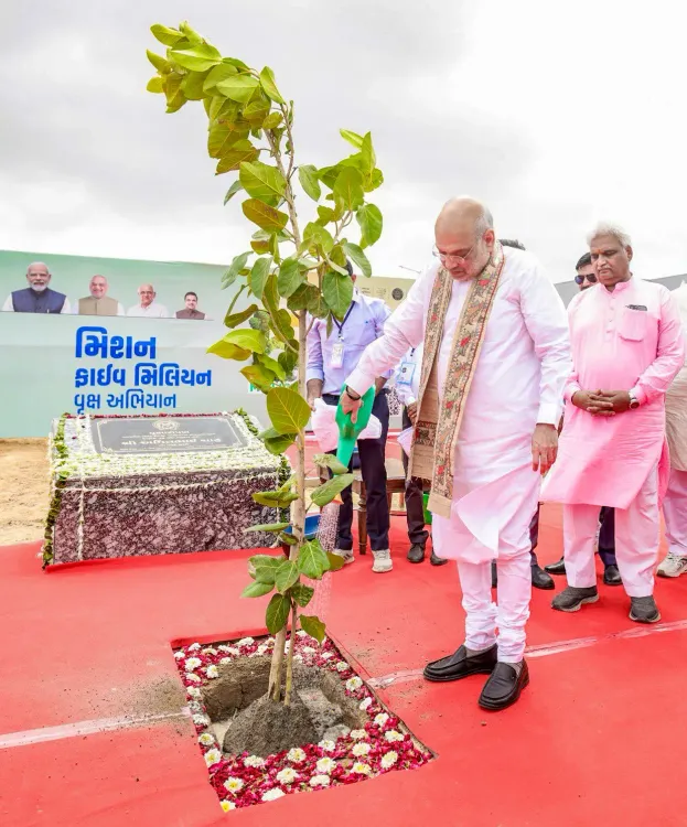 अमित शाह ने अहमदाबाद म्युनिसिपल कॉर्पोरेशन को दी बधाई, मियावाकी पद्धति से 3.61 लाख पौधे लगाकर बना गिनीज रिकॉर्ड