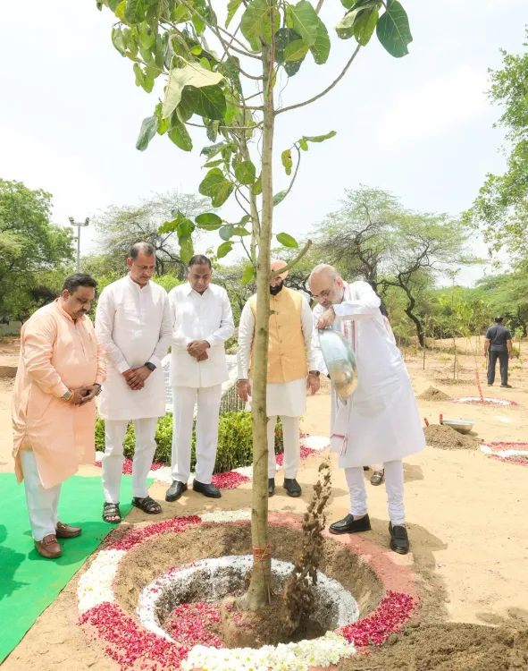 Amit Shah Plants Trees at Delhi Ridge Under 'Ek Ped Maa Ke Naam'