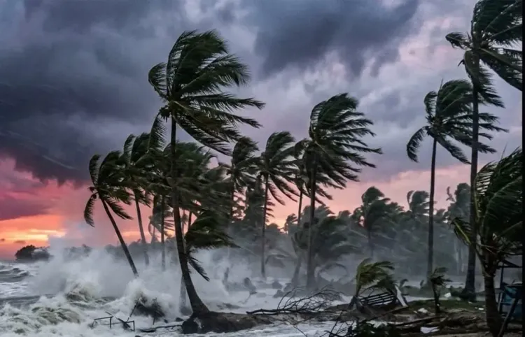 Cyclone Arnab: Andhra Pradesh evacuates coast as storm set to hit 28 October