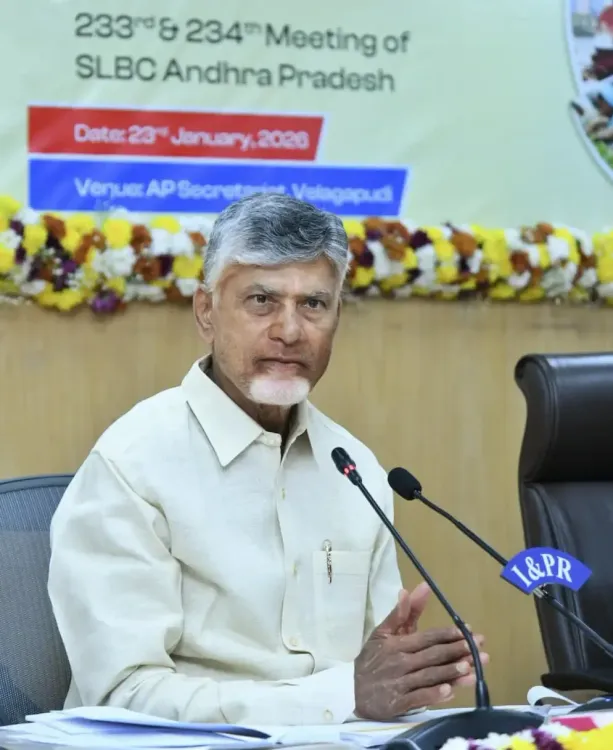 Should banks be urged to provide loans to the renewable energy sector by Andhra Pradesh CM?